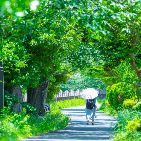 引地川緑地