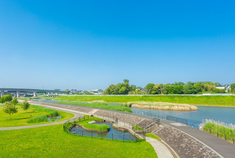 境川遊水地公園