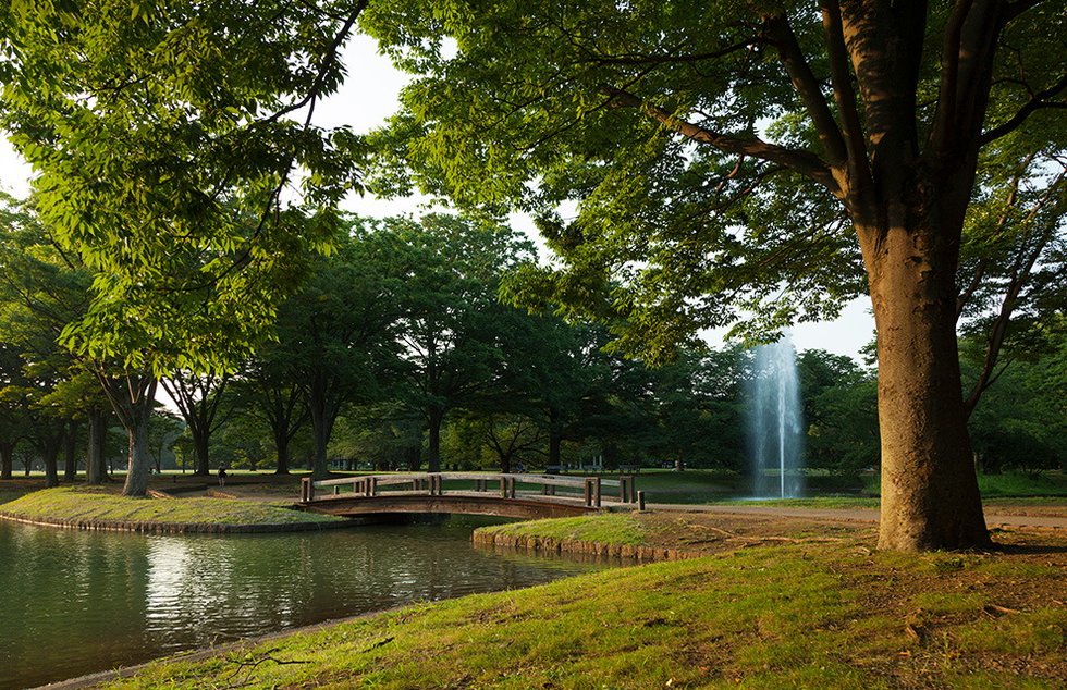代々木公園