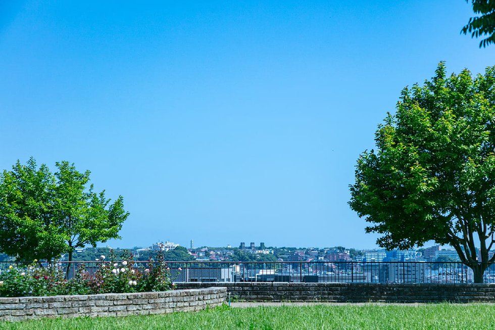 野毛山公園