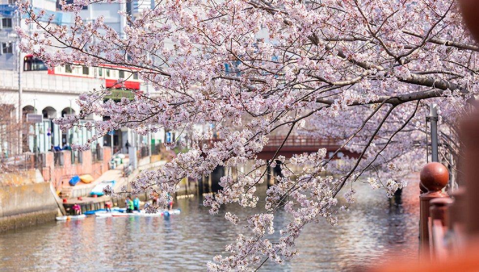 大岡川