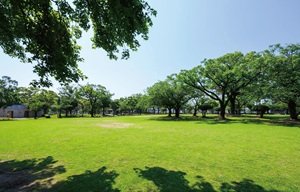 宮崎中央公園（文化の森）