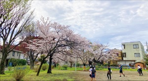 東公園