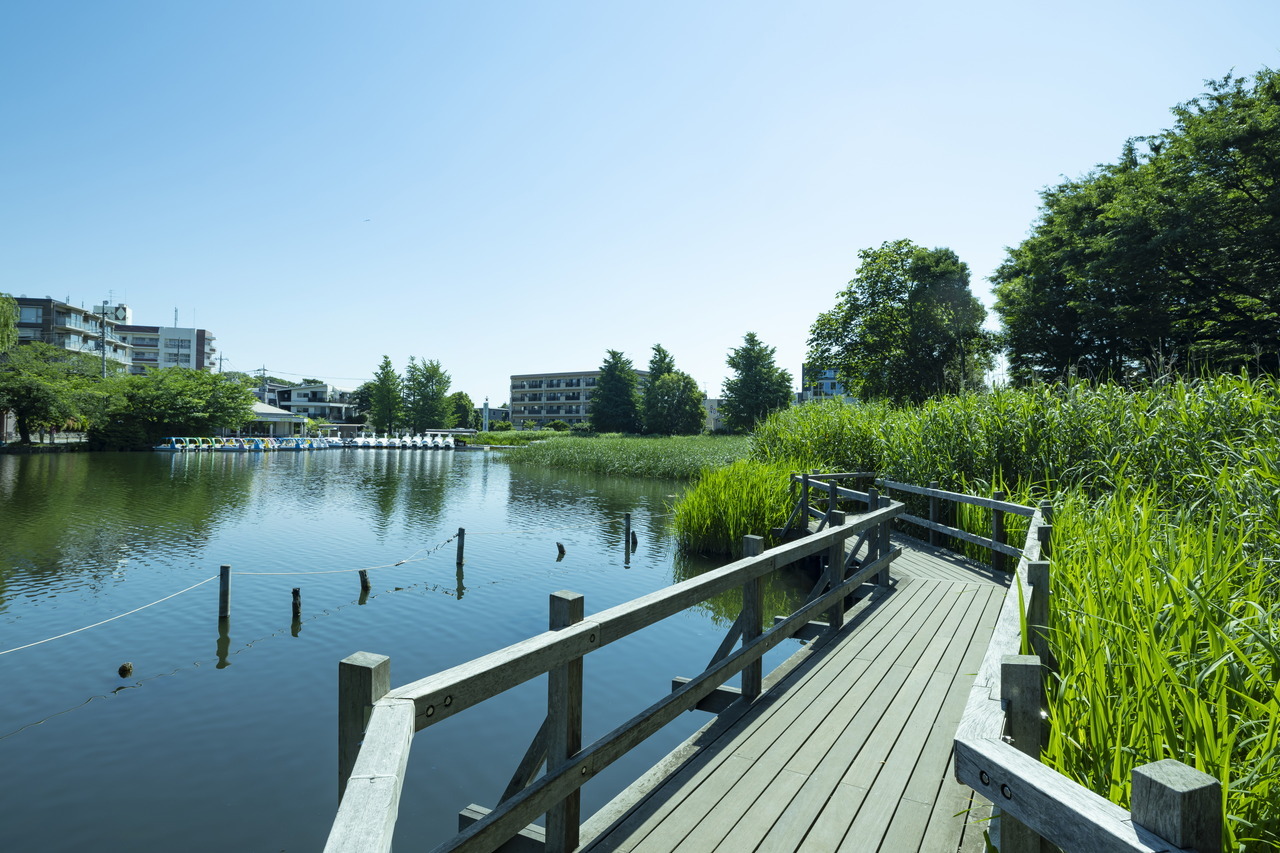 石神井公園