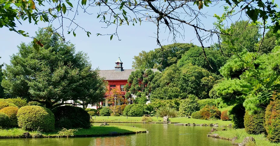 小石川植物園