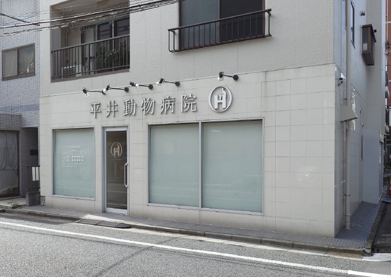 平井動物病院