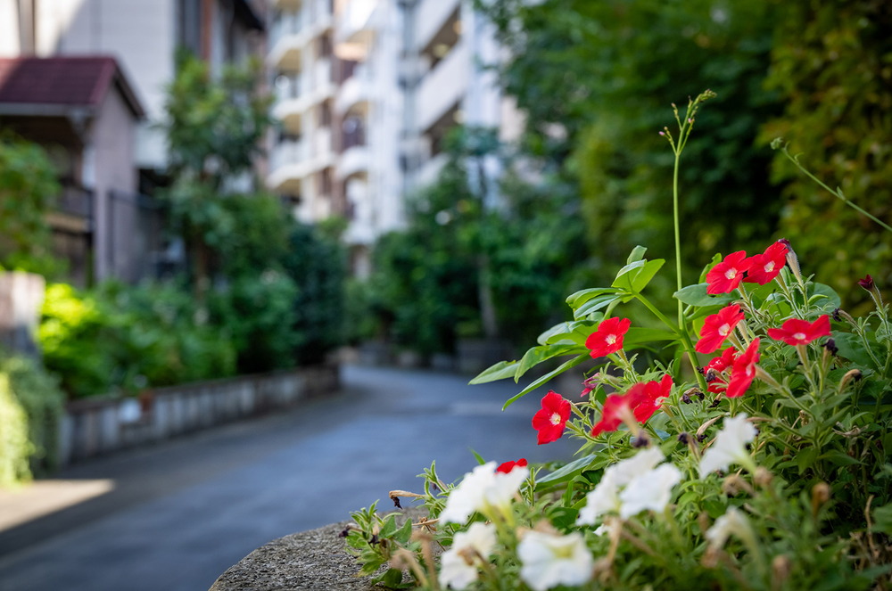 多摩川第二緑道