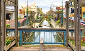 星川シンボルロード