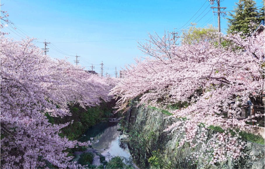山崎川