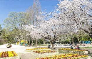 瑞穂公園