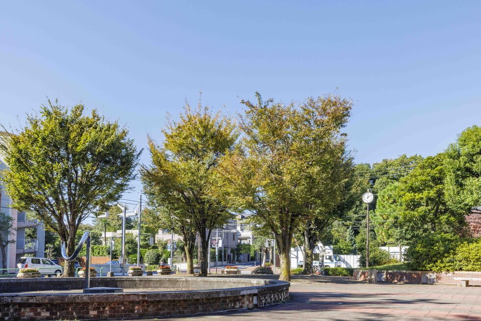 練馬区立和田堀公園