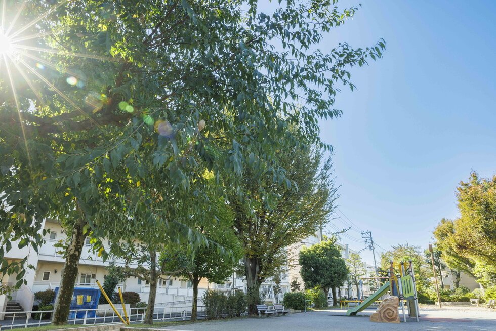 練馬区立和田堀第二公園