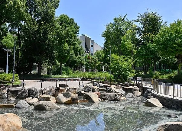 教育の森公園