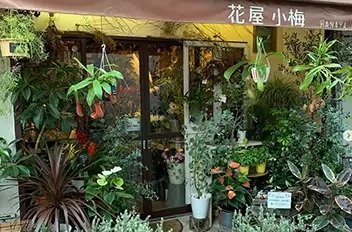 花屋小梅
