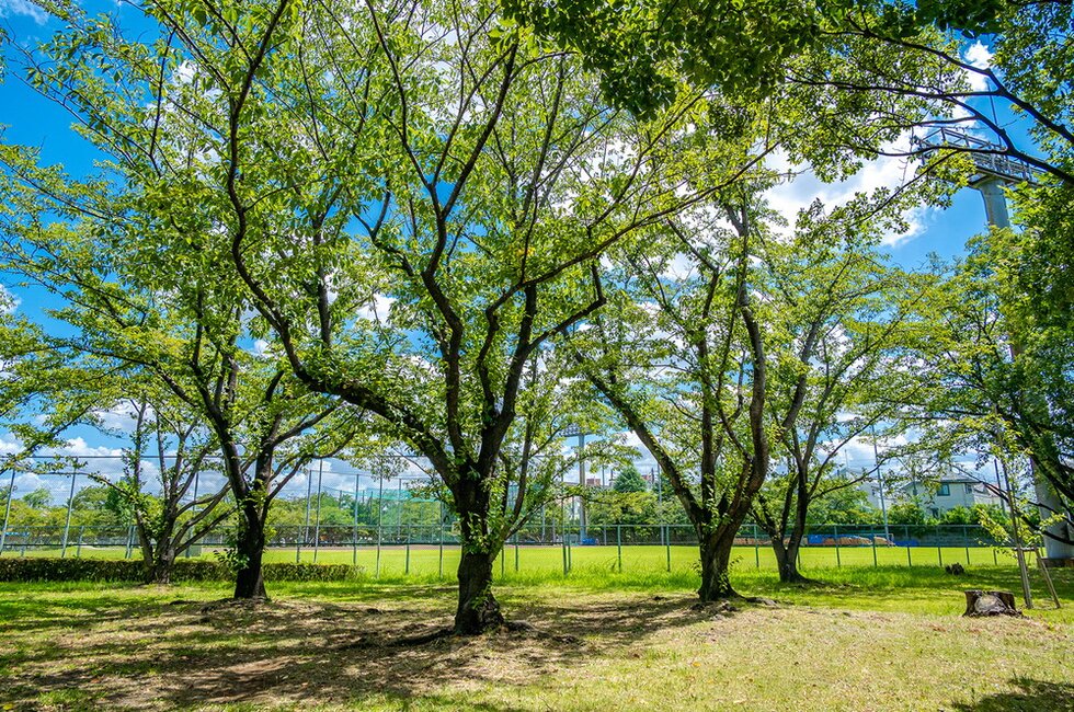 多摩川緑地公園