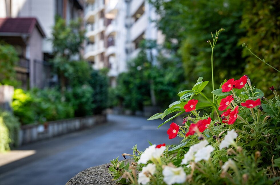 多摩川第二緑道