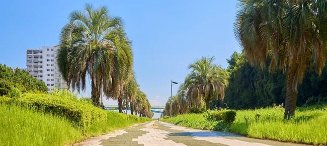 幕張稲毛シーサイドランニングコース