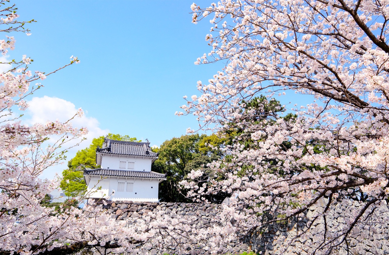 桜の名所としても知られる大分城址公園