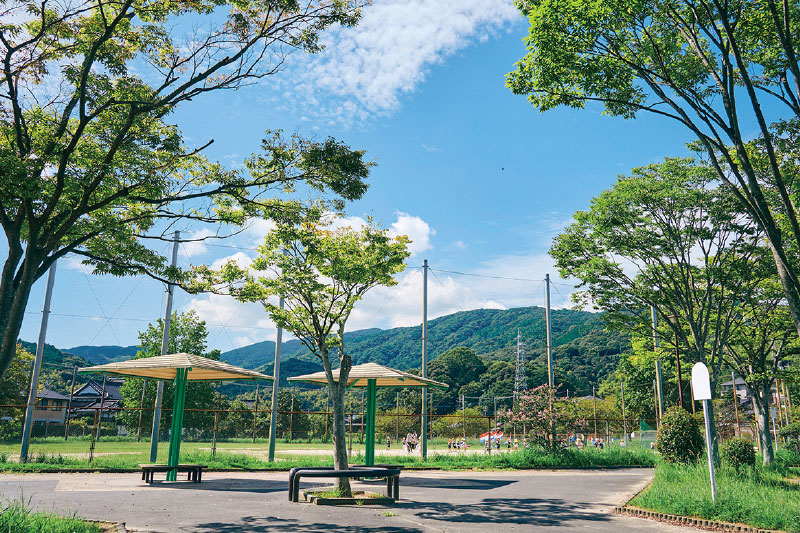 朽網中央公園