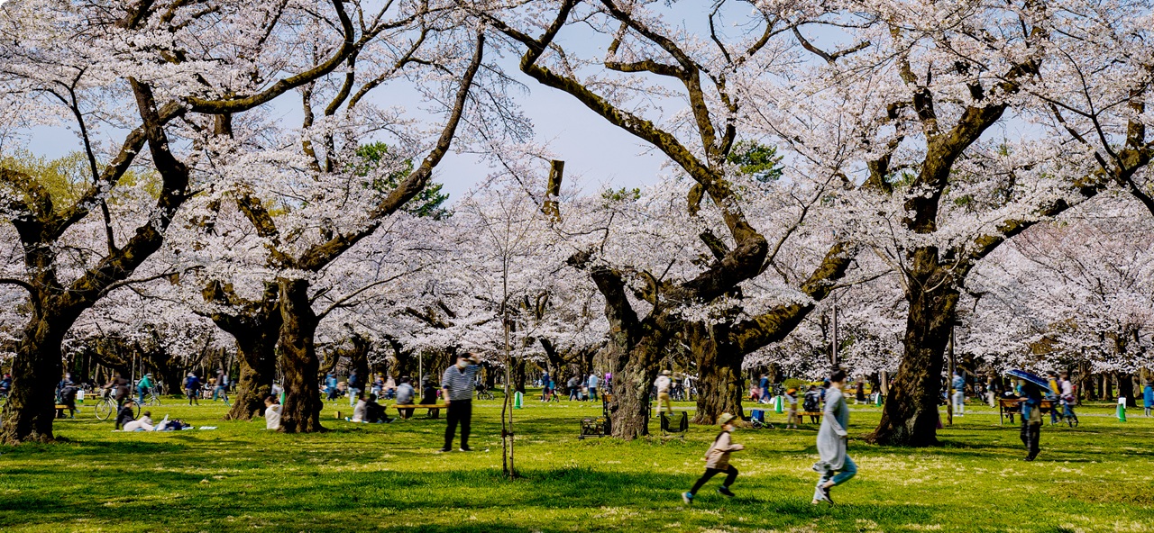 都立小金井公園