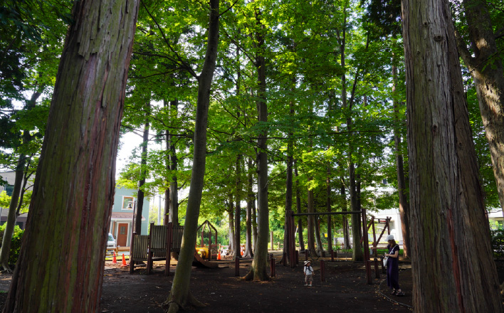 宇都宮記念公園みどりの森