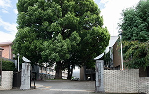 県立川越高等学校