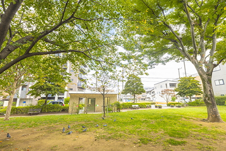 下鎌田へび土手公園