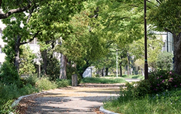 馬出緑地（緑道）