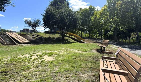 上納池スポーツ公園