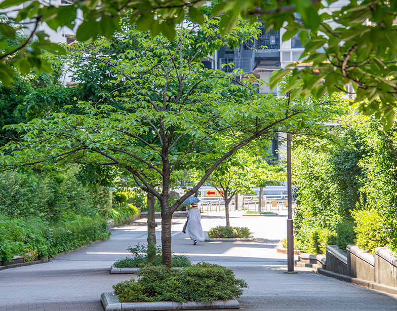 東横フラワー緑道
