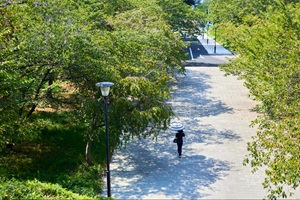 西公園
