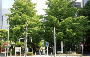 浜町公園