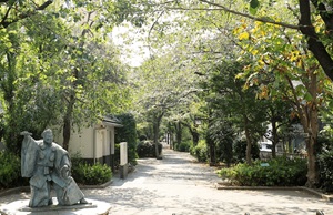 浜町川緑道