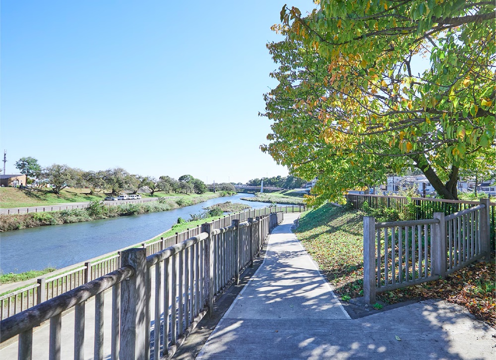 いろは親水公園