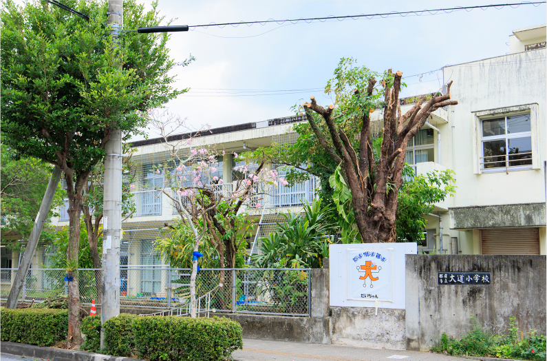 大道小学校