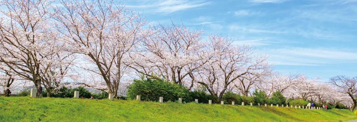 室見川河畔公園