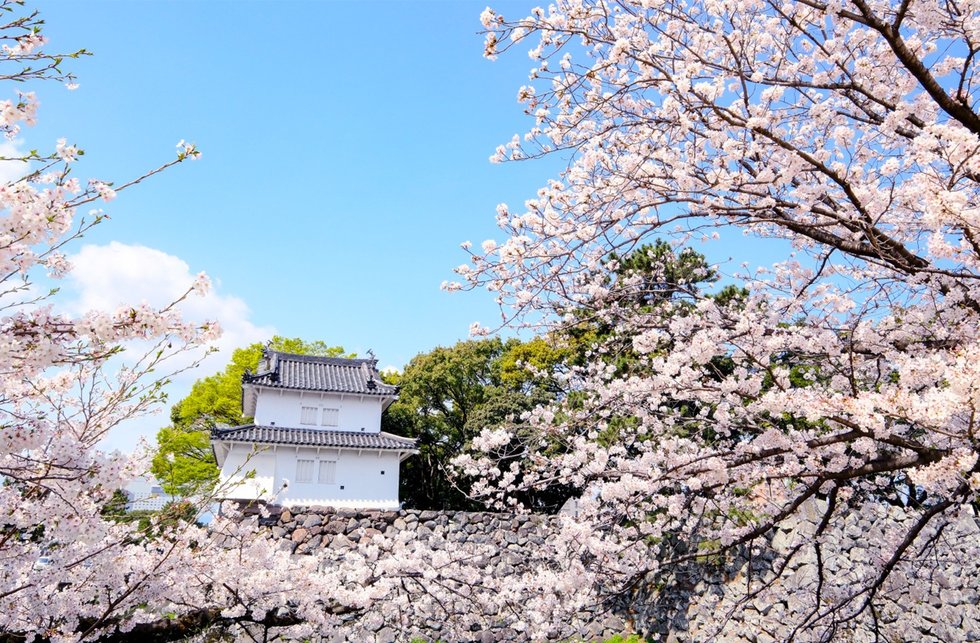 桜の名所としても知られる大分城址公園