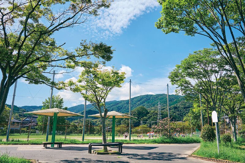 朽網中央公園