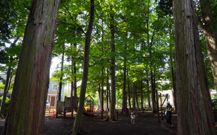 宇都宮記念公園みどりの森
