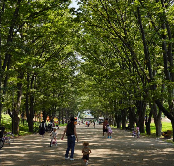 鶴間公園