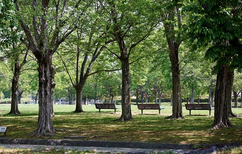東公園