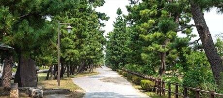 草加松原遊歩道