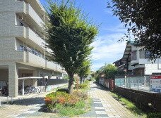 緑道