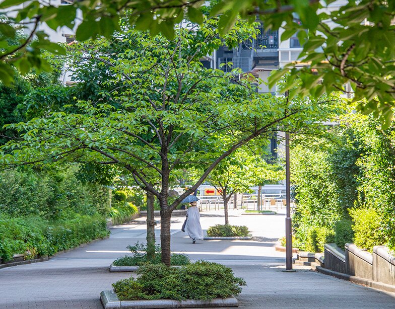 東横フラワー緑道