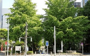 浜町公園