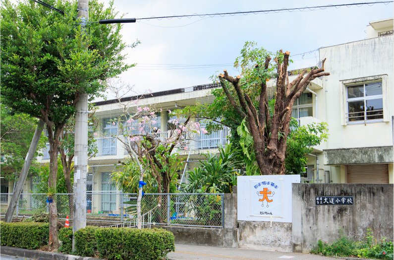 大道小学校