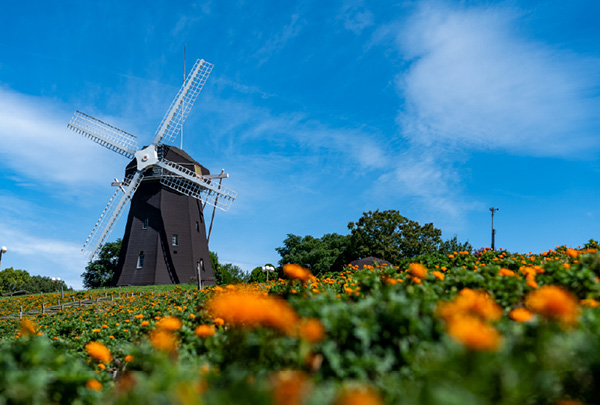 花博記念公園鶴見緑地