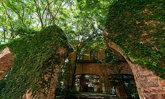 Italian & Cafee BOSCO