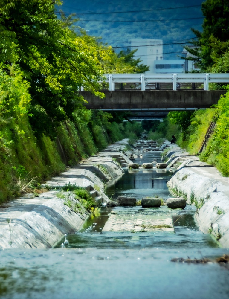 天神川（紙屋川）