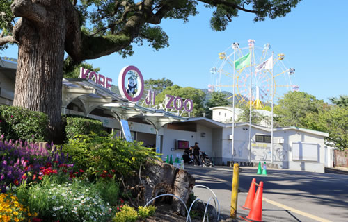 市立王子動物園